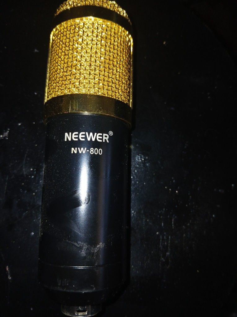 Neewer NW 800 Microphone