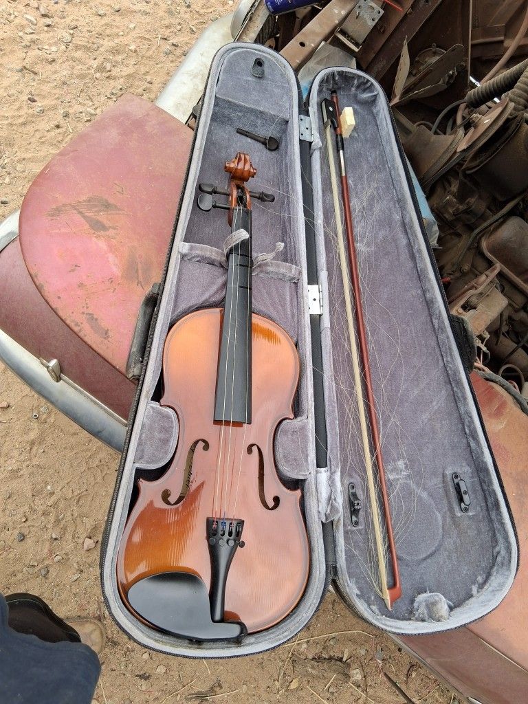 Violin