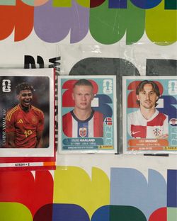 Panini Sticker Swap