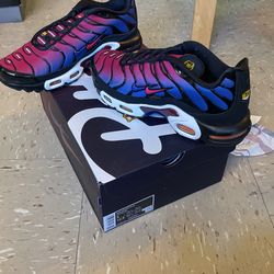 Nike Air Max Plus