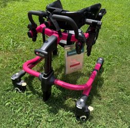 Rifton Pacer Gait Trainer / Mobility Walker – $750