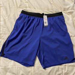 Adidas New XL Shorts