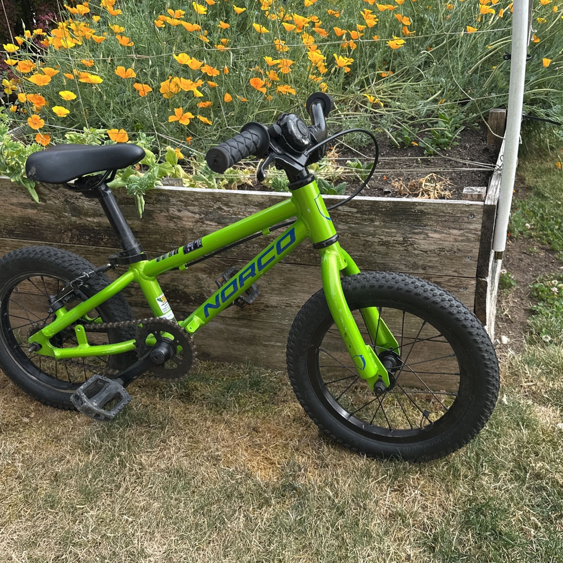Norco Coaster 14”
