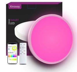 New Smart Ceiling Light 12 Inch