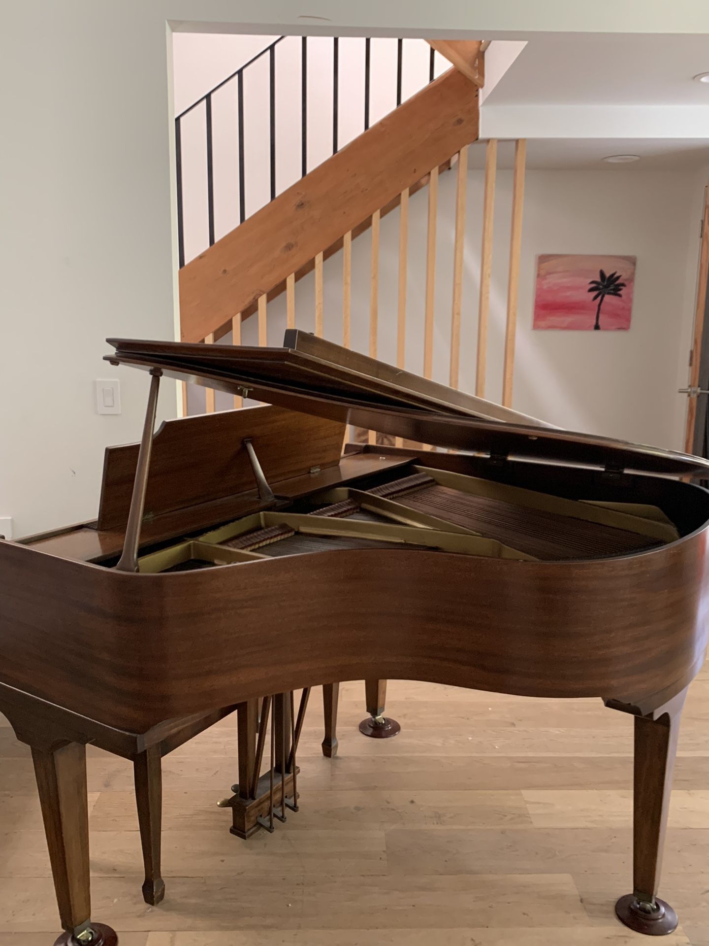 Baby Grand Piano • B.K. Settergren 