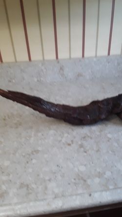 Finished Driftwood Unusual piece