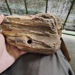 RARE With 2 Inch Hole Southern Oregon Northern California Area