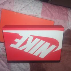 Nike pink oxford/W Nike Dunk low