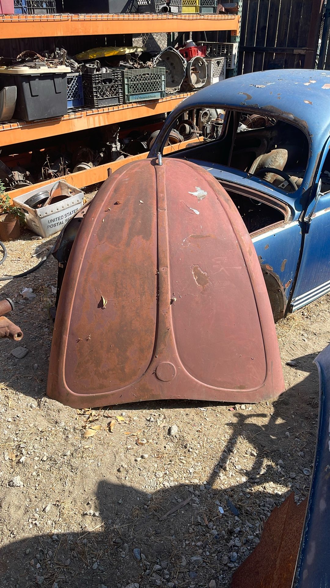 Volkswagen hood Late Models 68 And Up