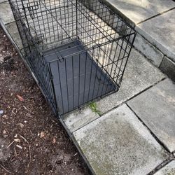Dog Kennel