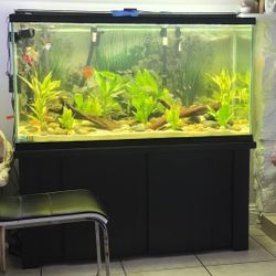 Fish Tank 80 Gallon  With Stand