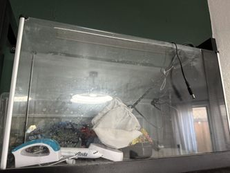 5 Gallon Water Tank