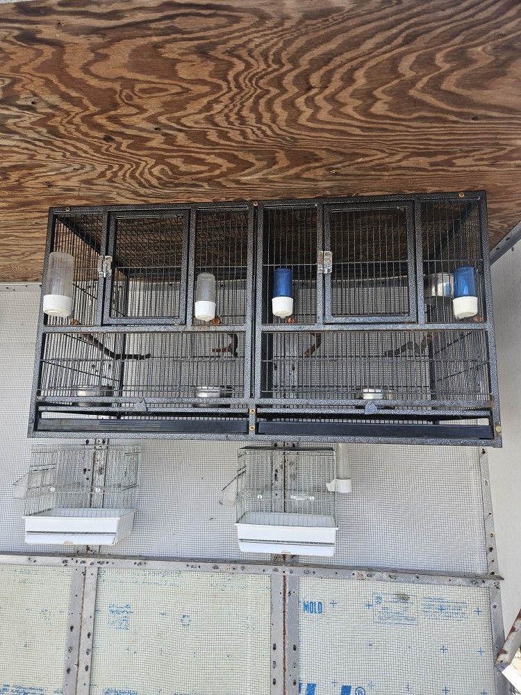 Bird Cage Jaula De Canario
