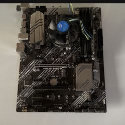 Asus Prime Z490-P With Intel Pentium 4.0Ghz