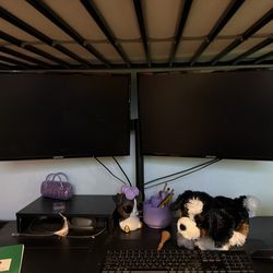Two Samsung monitors with stand