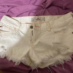 Holister Co, American Rag Cie orange , yellow, Guess