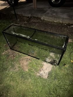 Fish Tank