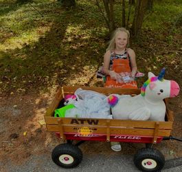 Radio Flyer Wagon $75