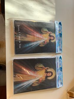 Brand New In Packaging Jesus pillow cases