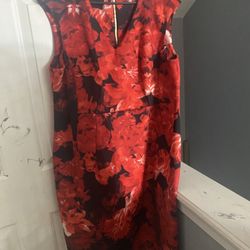 Calvin Klein Dress
