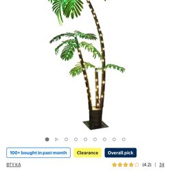 Palm Decoration Led
