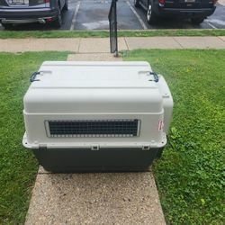 Dog Crate and Aircraft Crate