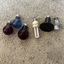 All Reptile Bulbs 