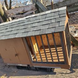 Dog House 