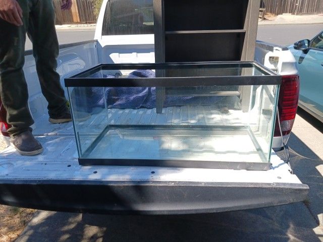 Fish Tank Stand & Lights