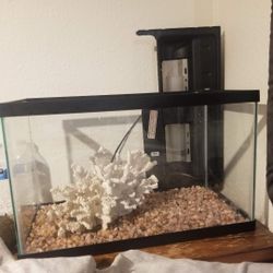 10 Gallon Aquarium 