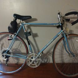 Old School Raleigh Record Ace Bike 