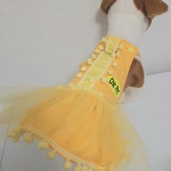 Ropa Bonita Y Nueva Para Mascotas