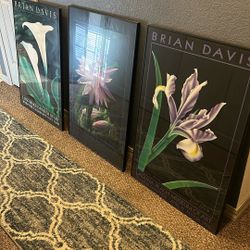 Brian Davis Framed Pictures 