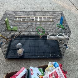 Bird Cage 