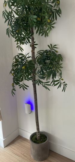 Artificial Olive Tree in Concrete Pot