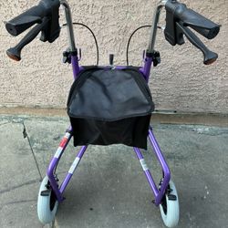 3 Wheelers Walker