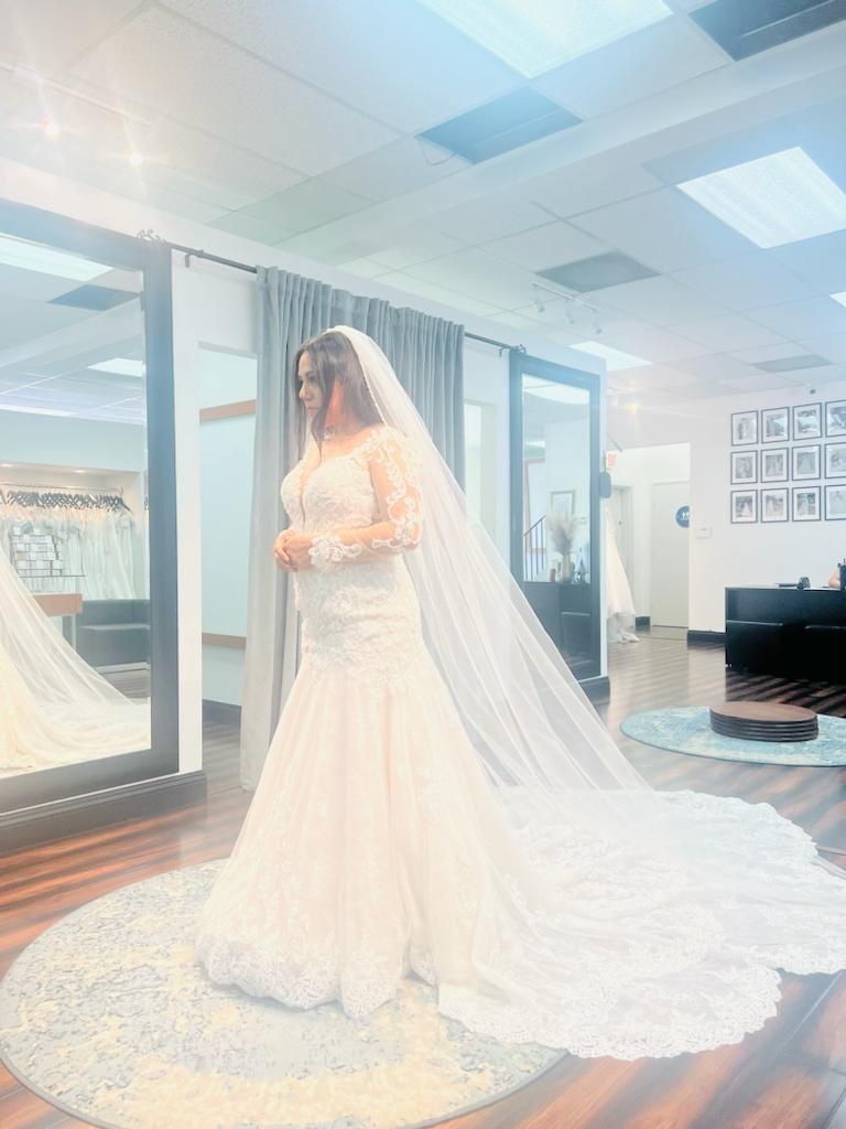 Beautiful Brides Wedding Dress