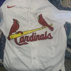 Molina Jersey 