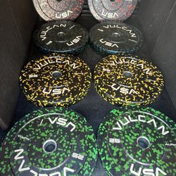 VULCAN BUMPER WEIGHT PLATES