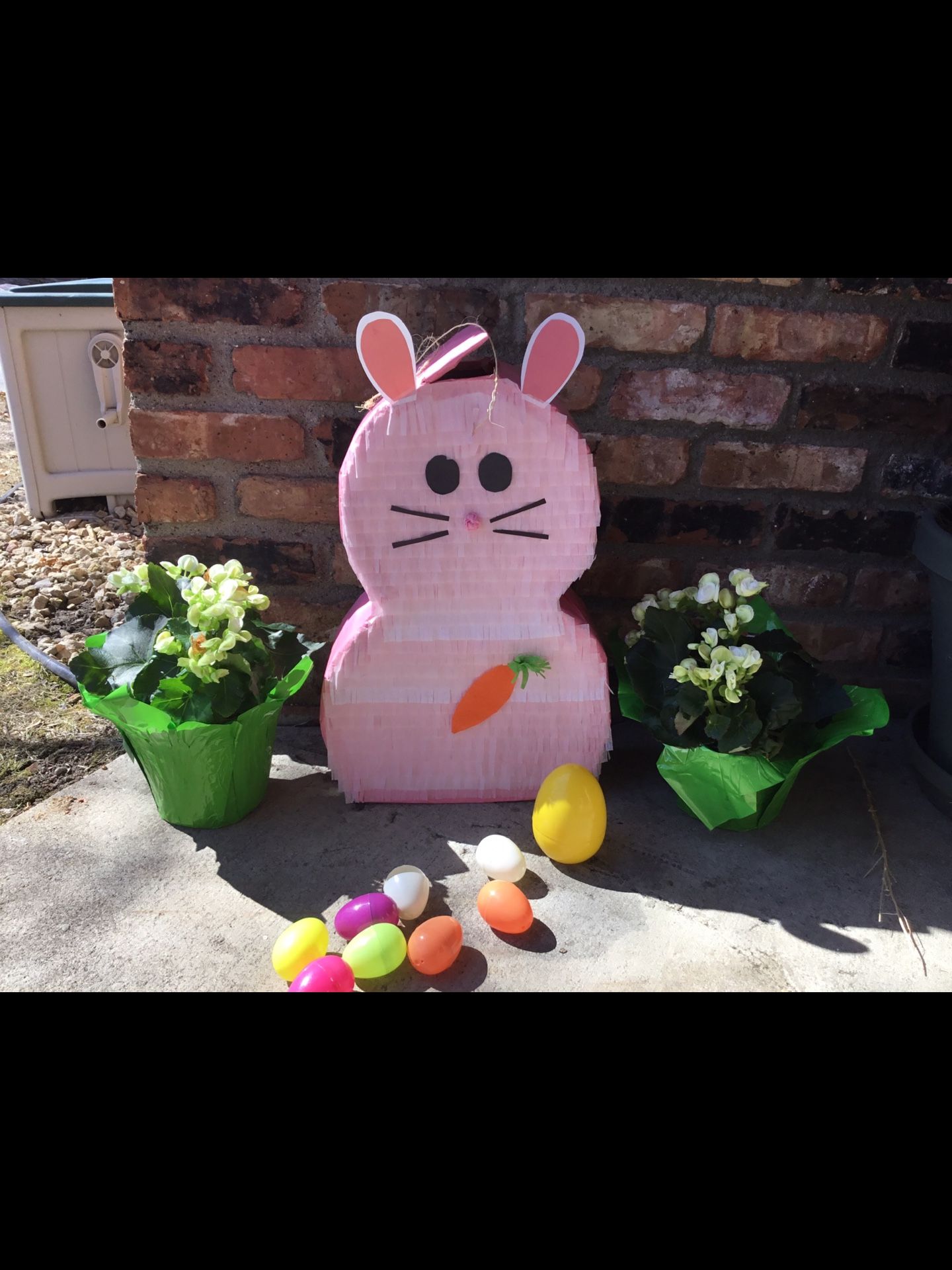 Piñata For Sale
