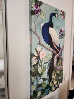 Peacock print
