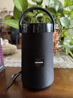 Speaker