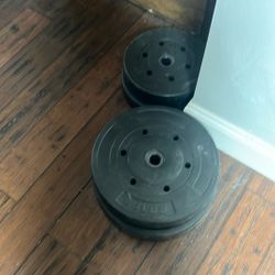 Weight Bench And Weights