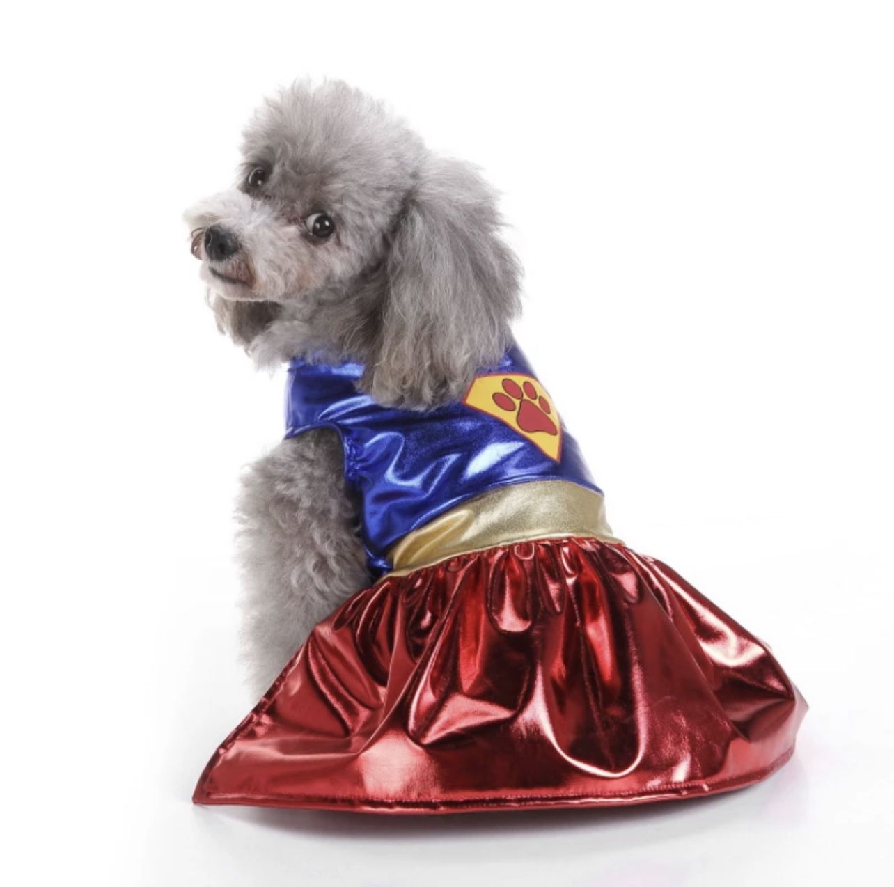 Halloween Costumes For Dogs