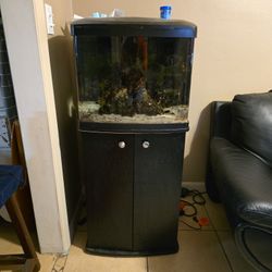 3 Fluval Tanks Biocube 28 And Much More