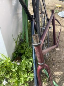 Fixed Gear Frames