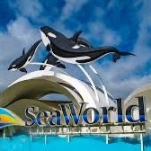 Seaworld and Sesame Street Place Tickets