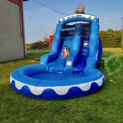 13ft DOLPHIN COMMERCIAL WATERSLIDE 