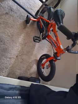 Schwinn grit kids bike