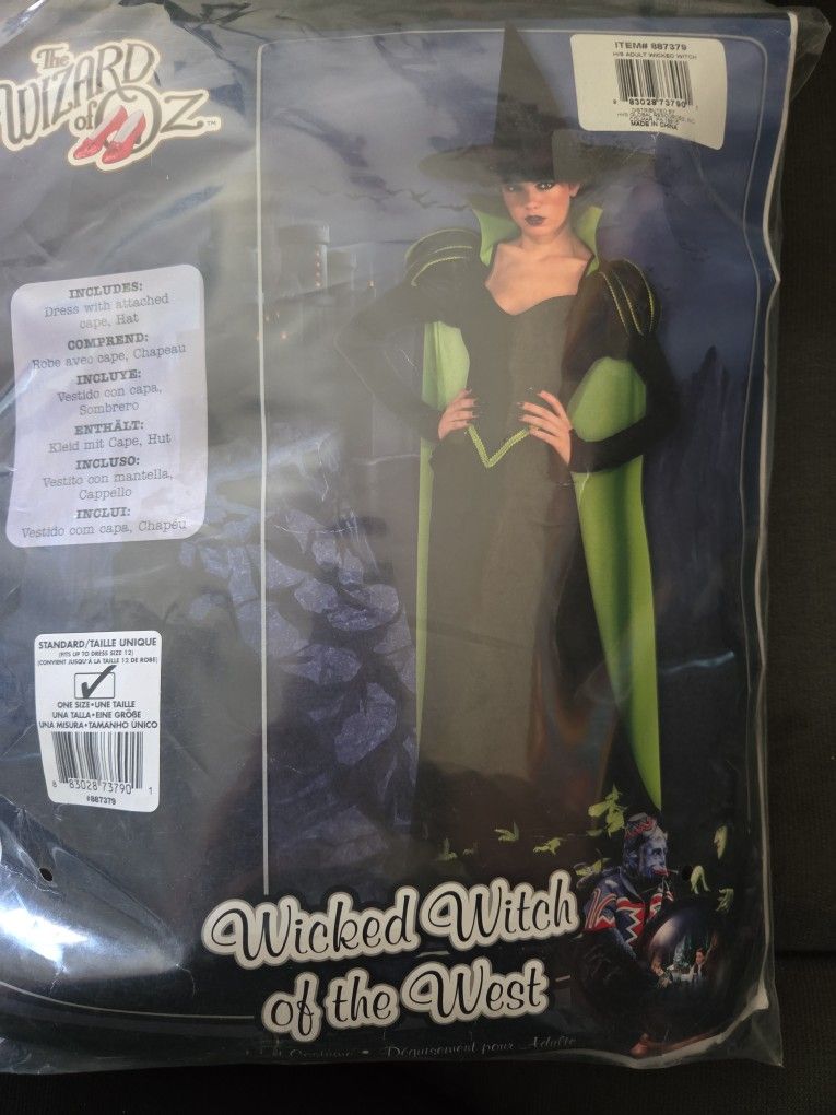 Wicked Witch The Wizard Of Oz Adult  Costume 